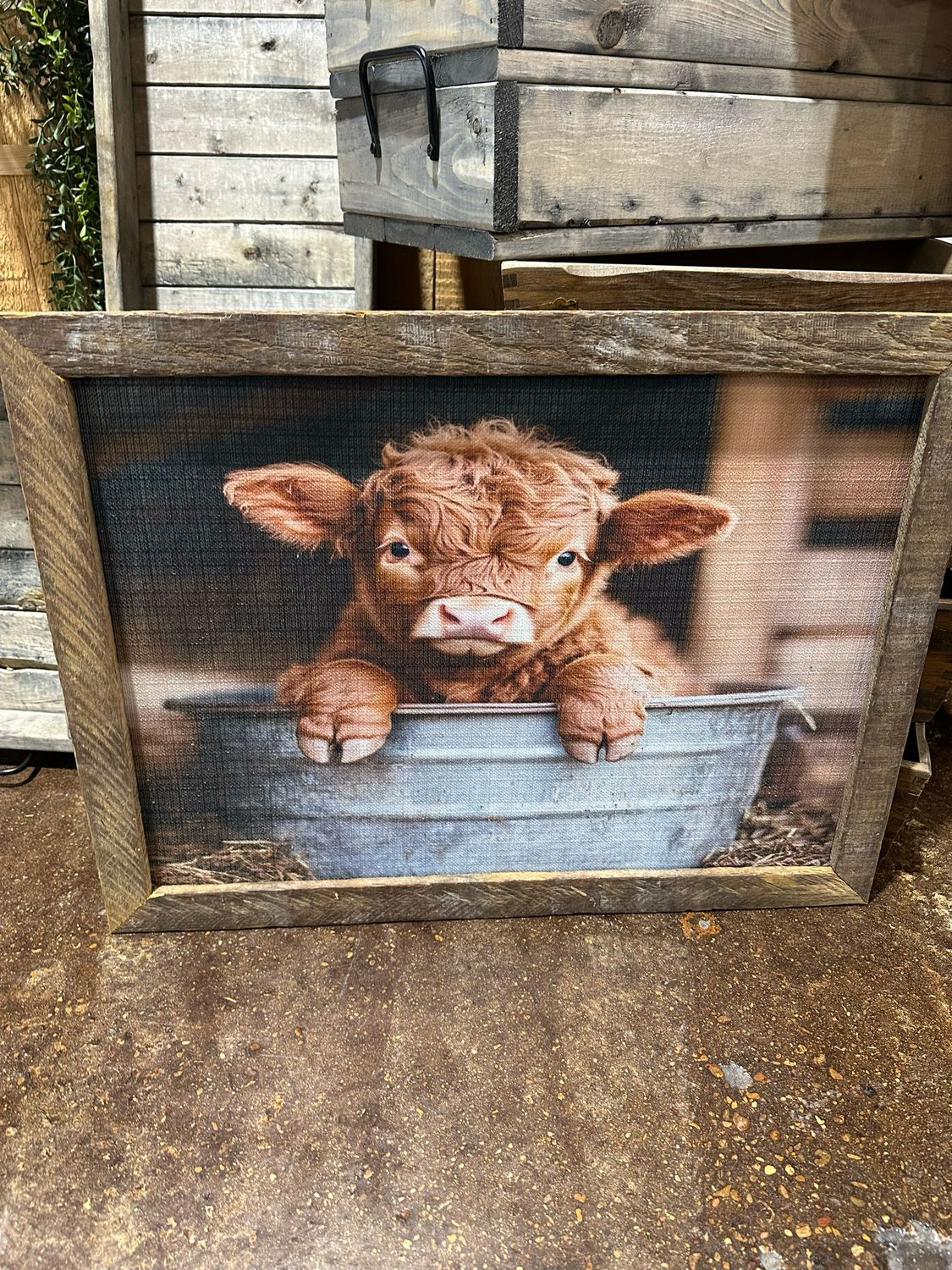 SCM 18x24 Highlander Baby Tub