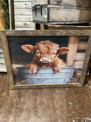 SCM 18x24 Highlander Baby Tub