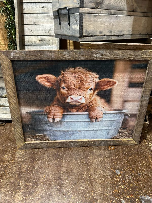 SCM 18x24 Highlander Baby Tub