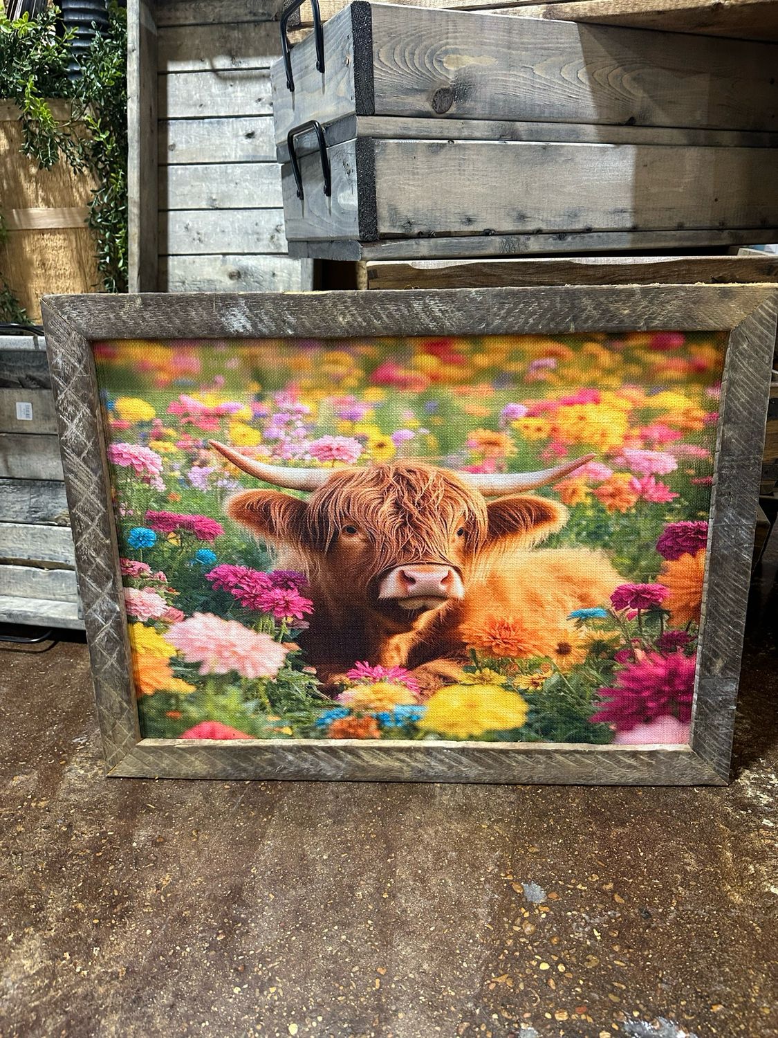 SCM 18x24 Highlander Bright
