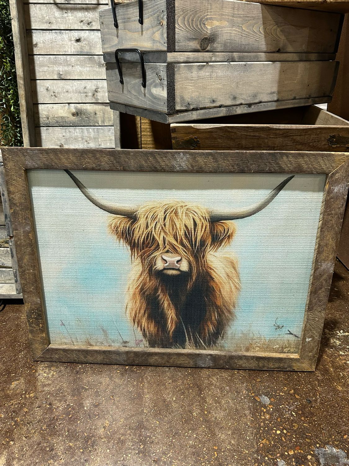 SCM 18x24 Highlander Up Close