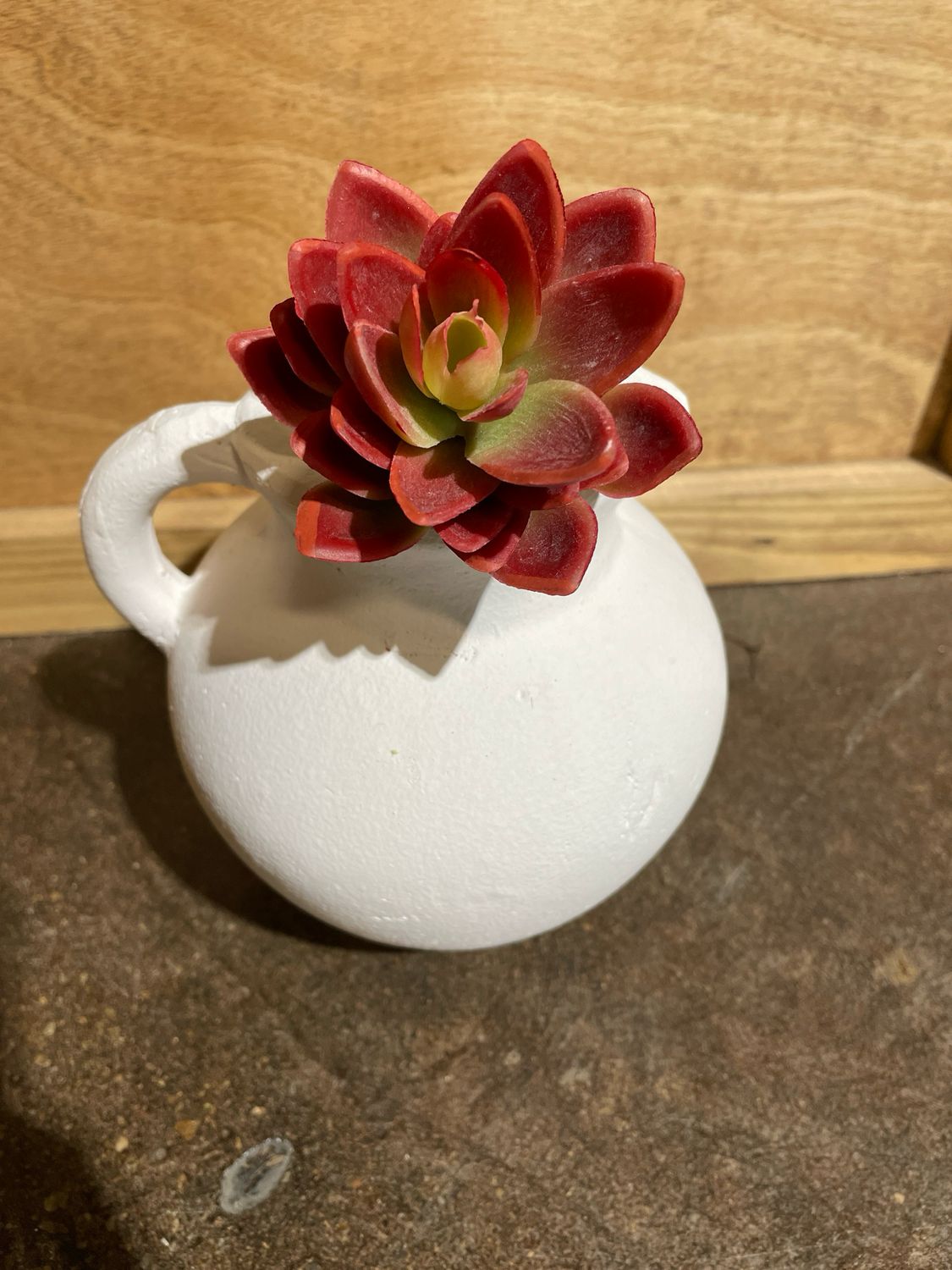 Laui Succ Red