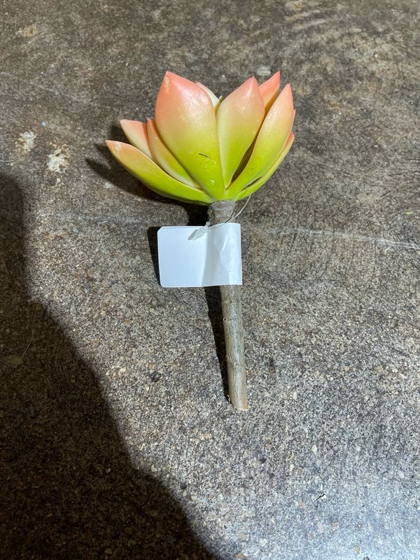 Minibelle Succ Yellow
