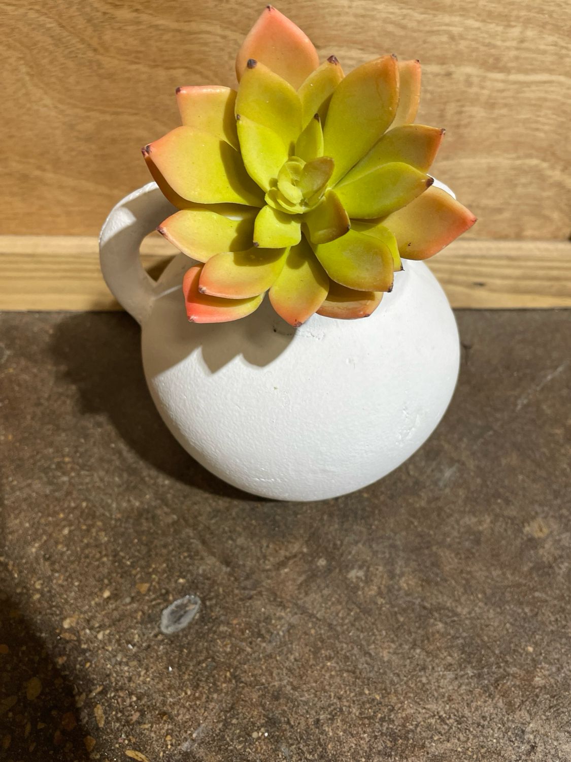 Minibelle Succ Yellow