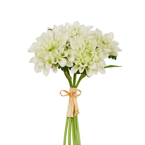 Raz 10&quot; White Floral Bundle