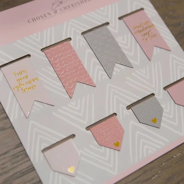 C&amp;C Gray &amp; Pink Magnetic Bookmarks