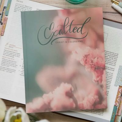 Devotionals/Bible Studies