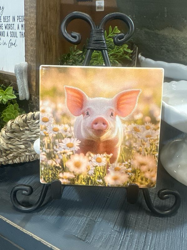 SCM 4x4 Coaster Pig