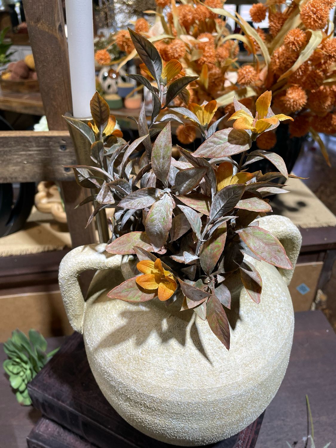 Lan 13&quot; Coquette Blooms Bush