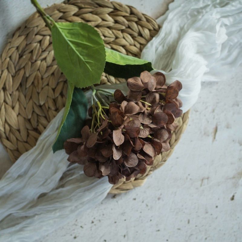 Rag 22&quot; Brown Hydrangea