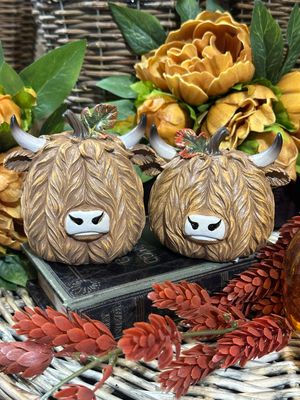 Highland Cows
