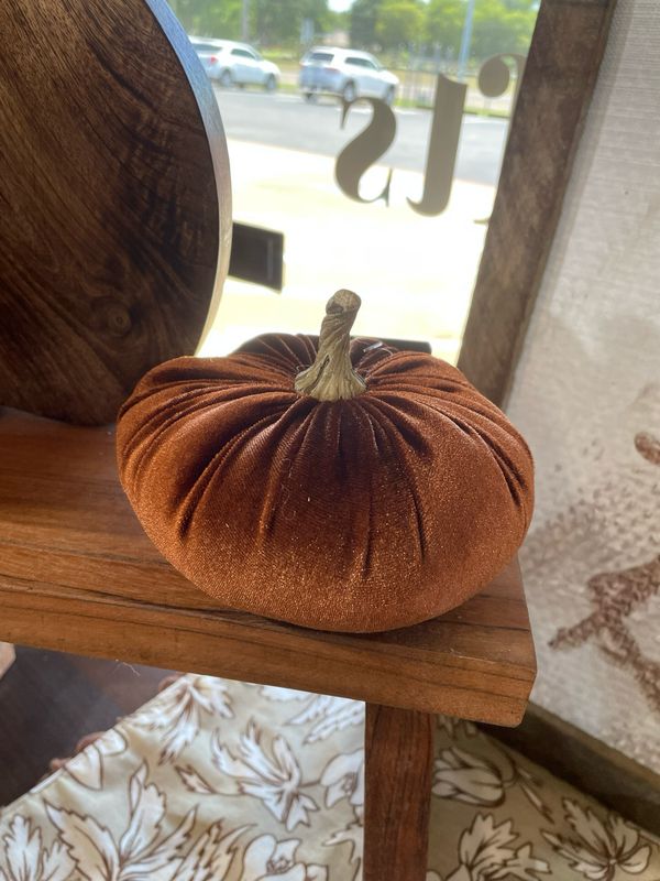 Pdg 5&quot; Rust Vel Pumpkin