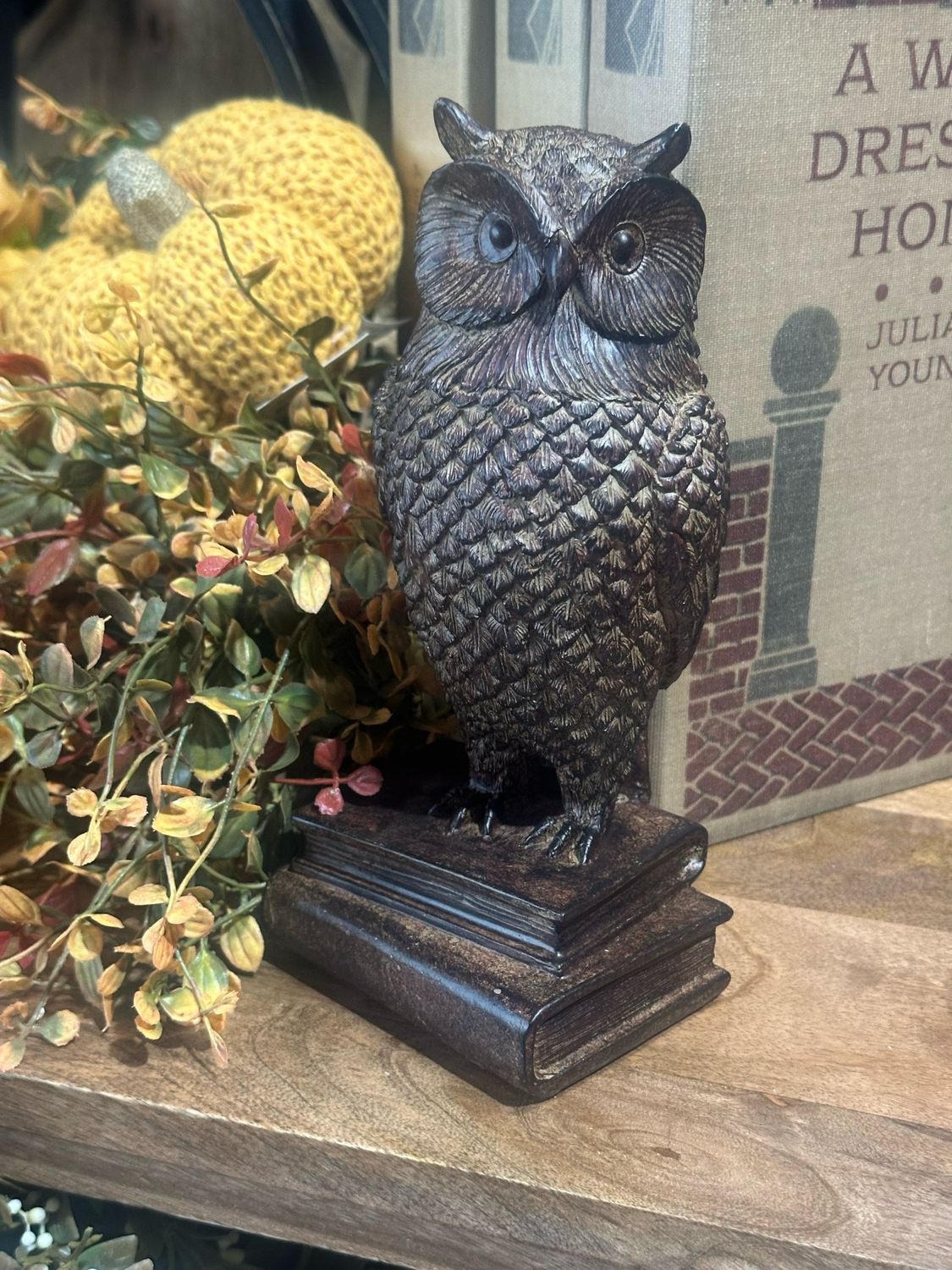 Yngs Antiqued Owl On Books 8&quot;
