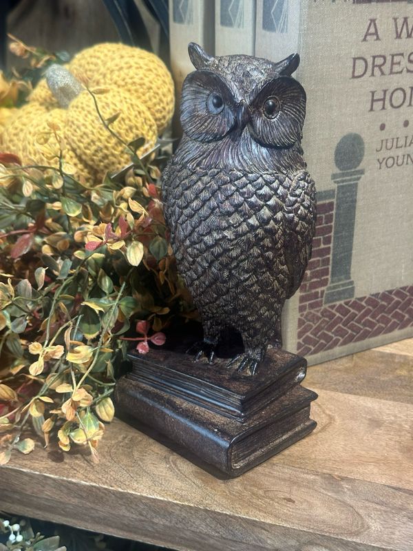 Yngs Antiqued Owl On Books 8&quot;