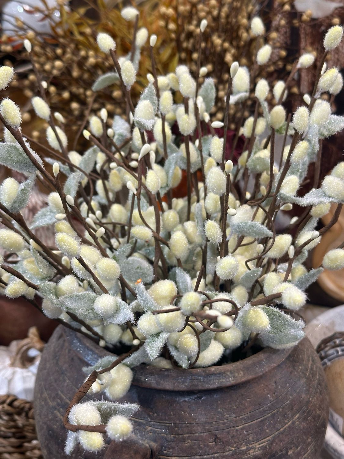 MV Pussy Willow 16&quot;