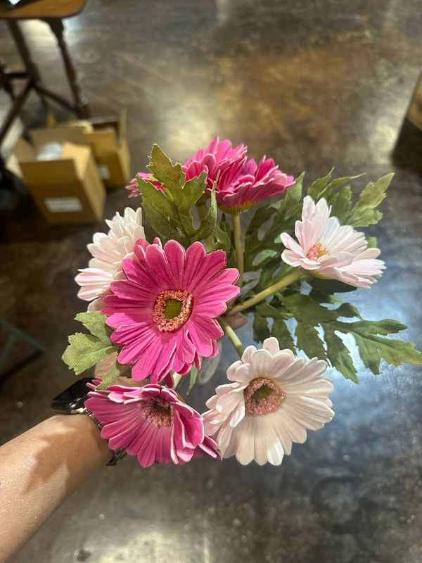 Ang 12&quot; Daisy Spring Pnk
