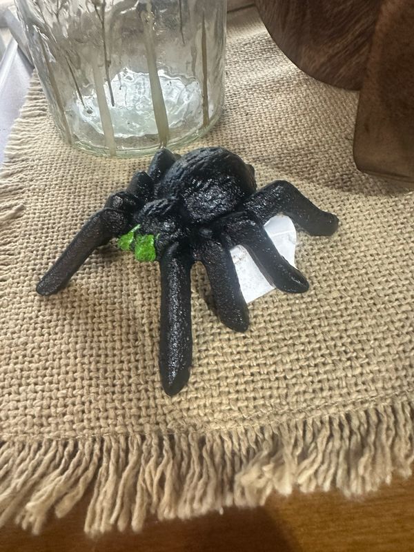 DWL Black Iron Spider