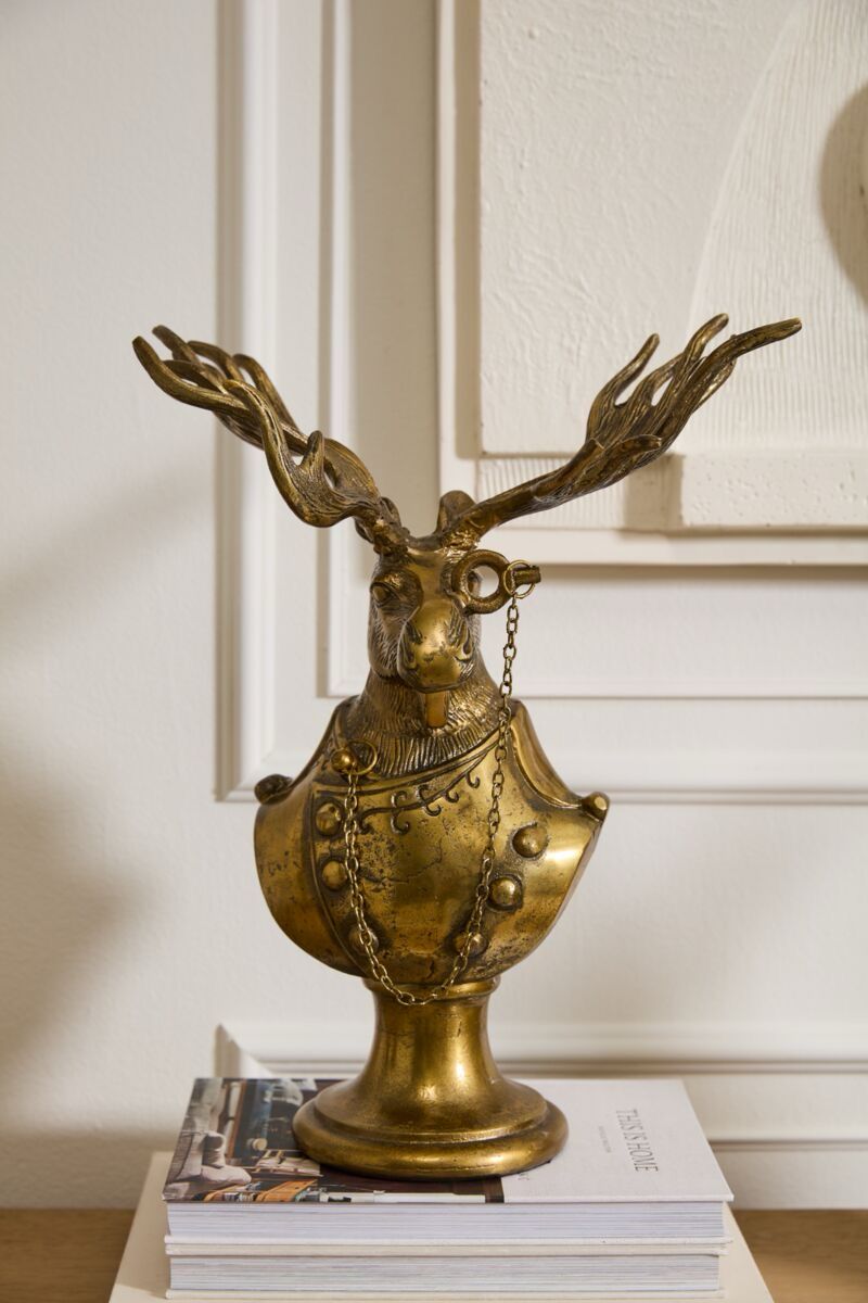 ACC Moose Bust Eugene 14x7.75x18&quot;