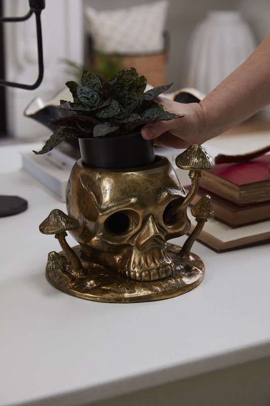 ACC Cranium Pot 9.5x6.5x8"