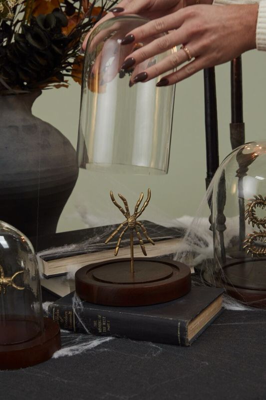 ACC Spider Specimen Cloche 6.25x9"