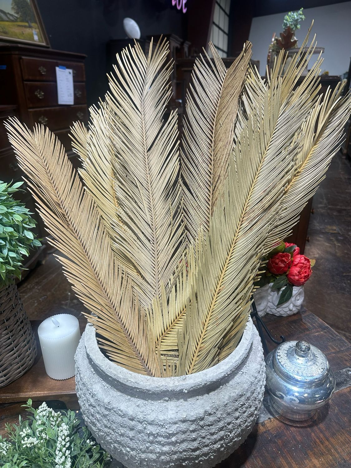 11 Palm Leaves