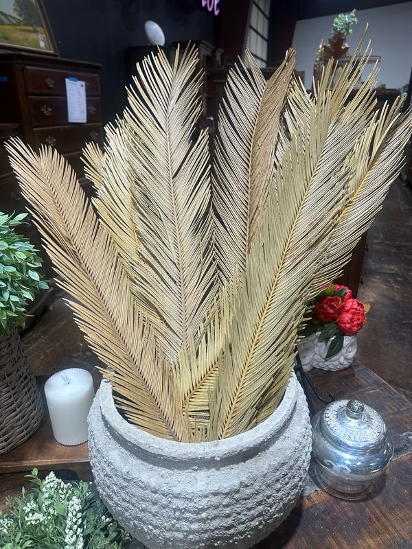 11 Palm Leaves
