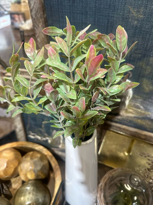 Mer Blush Bush Scarlet