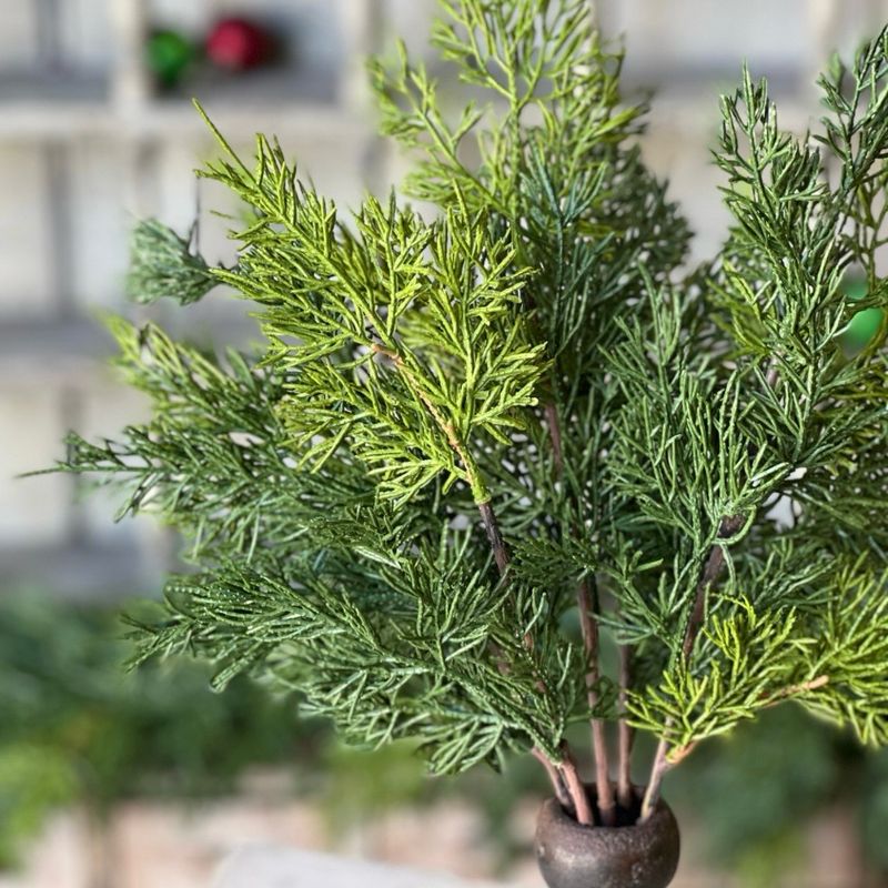 Lan 18" Verdant Cedar Bush