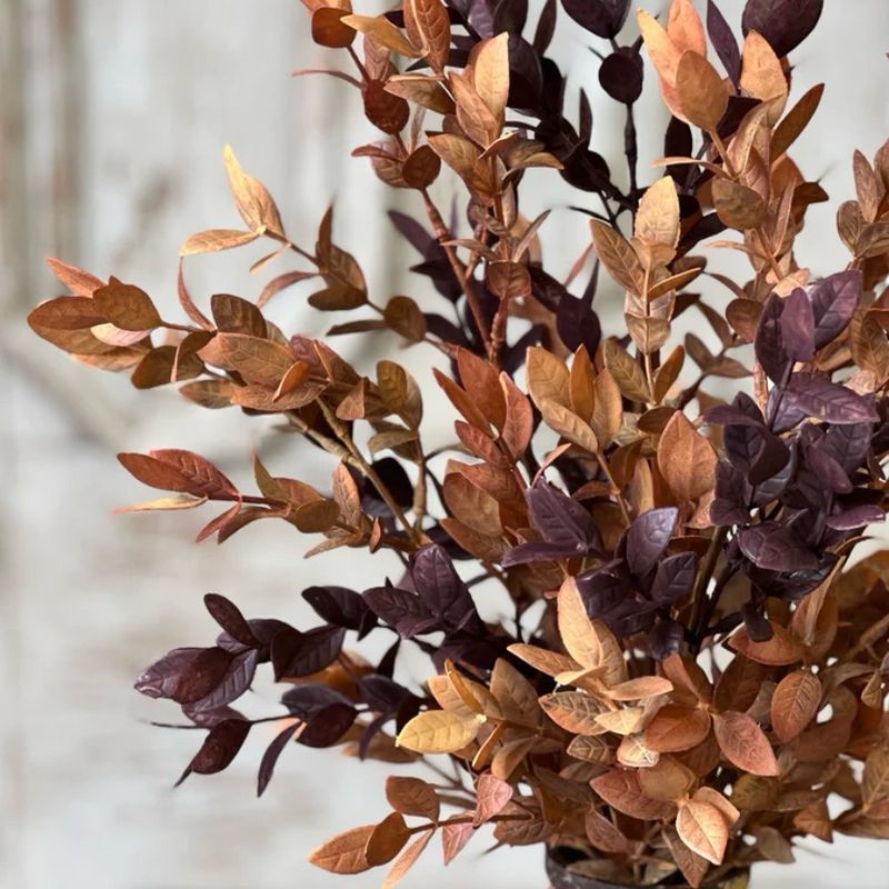 Lan 18" Ombre Woods Bush