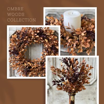 Ombré Woods Collection
