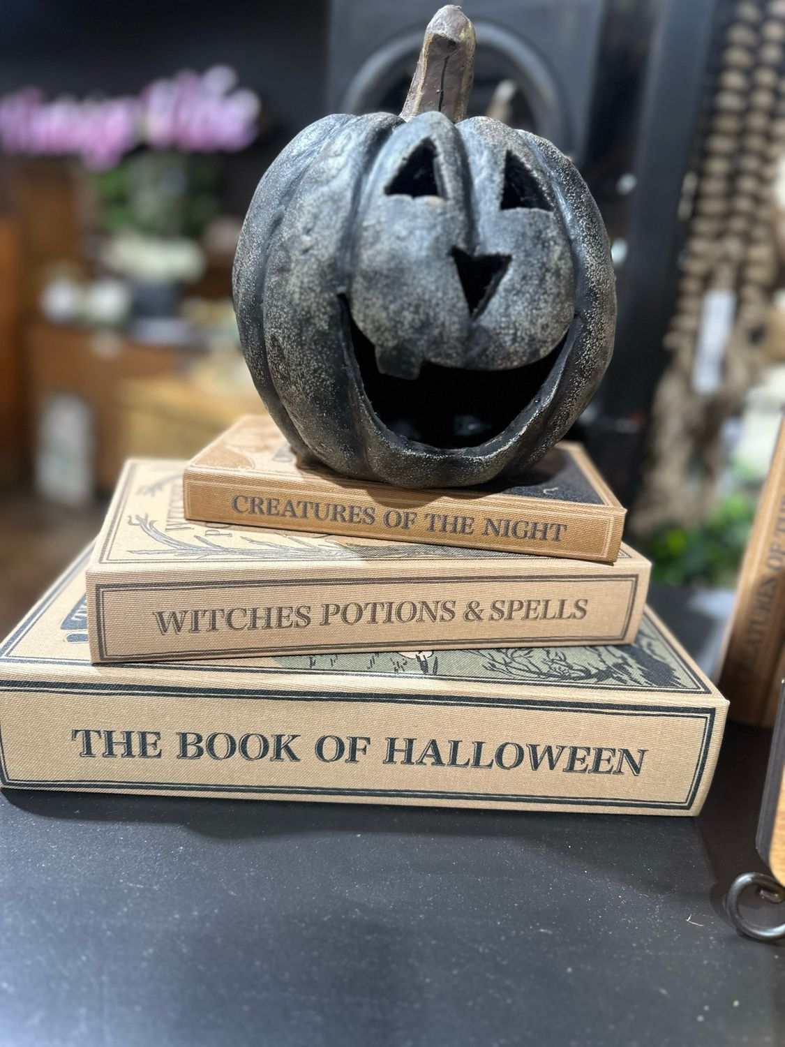 CCO Book Of Witches/poisons 10x7x2