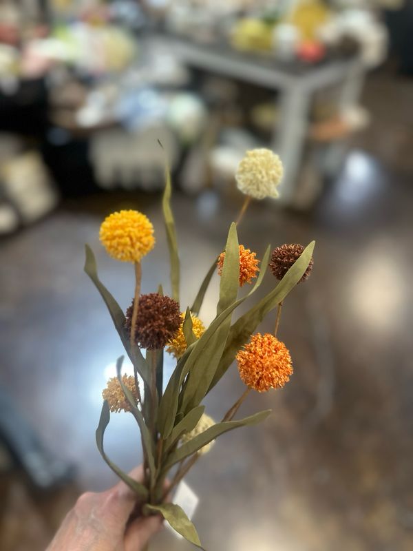 Imp 20" Mixed Thistle Stem