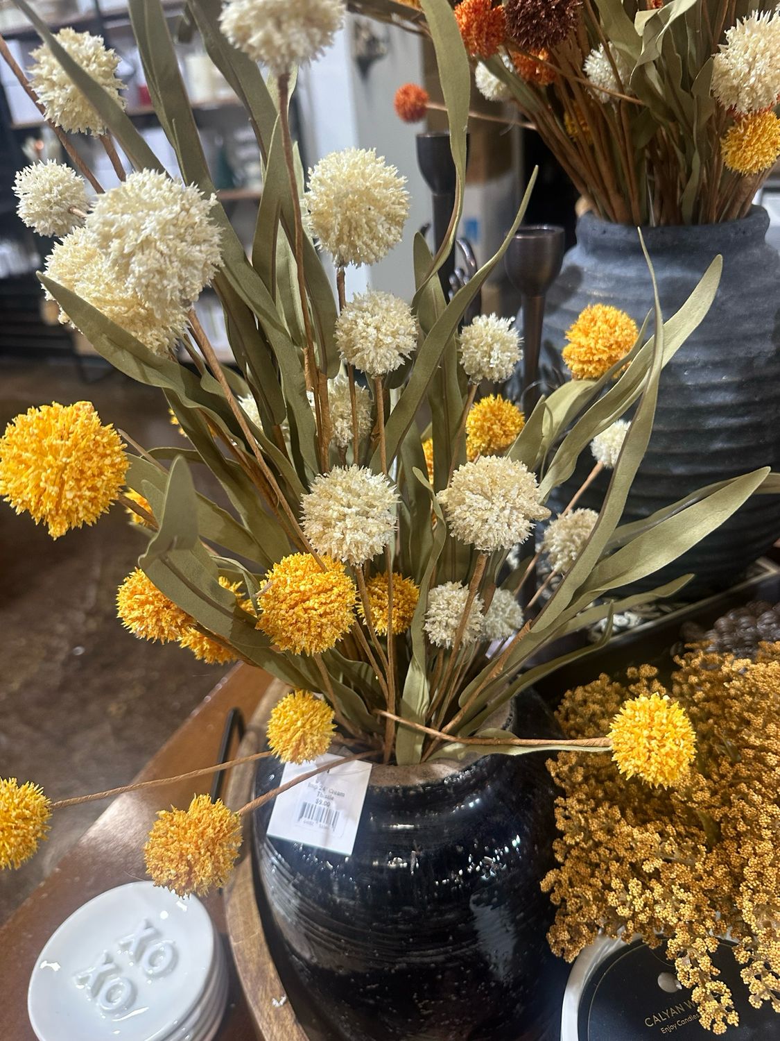 Imp 24&quot; Cream Thistle