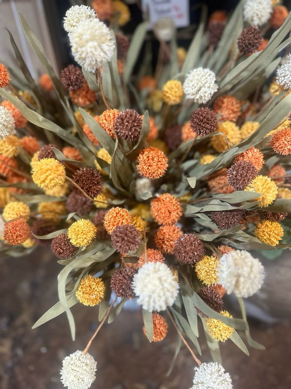 Imp 20&quot; Mixed Thistle Stem