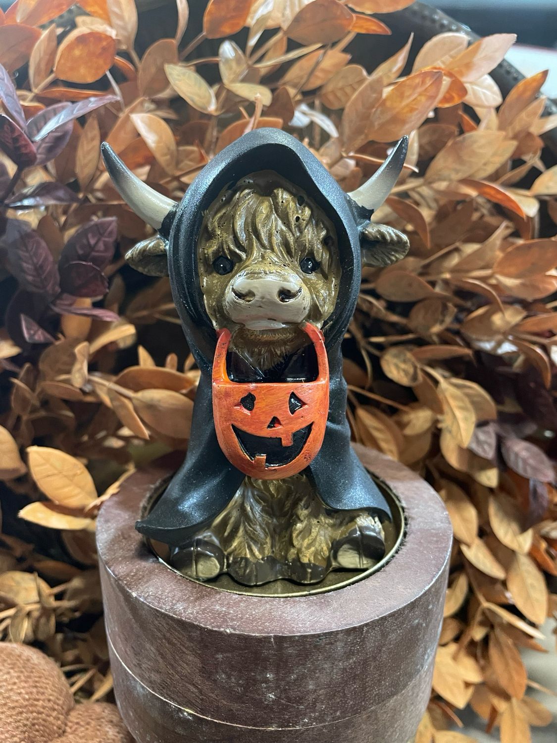 Han Black Hooded Highland Cow Trick Or Treater