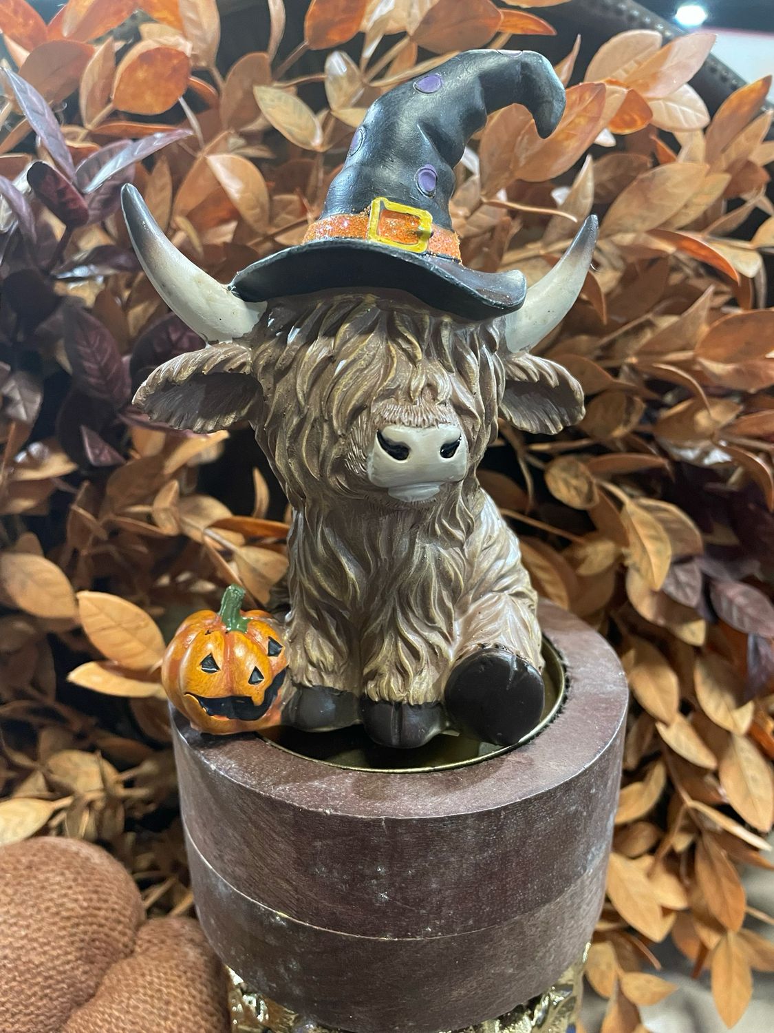 Han Black Hat Wizard Highland Cow
