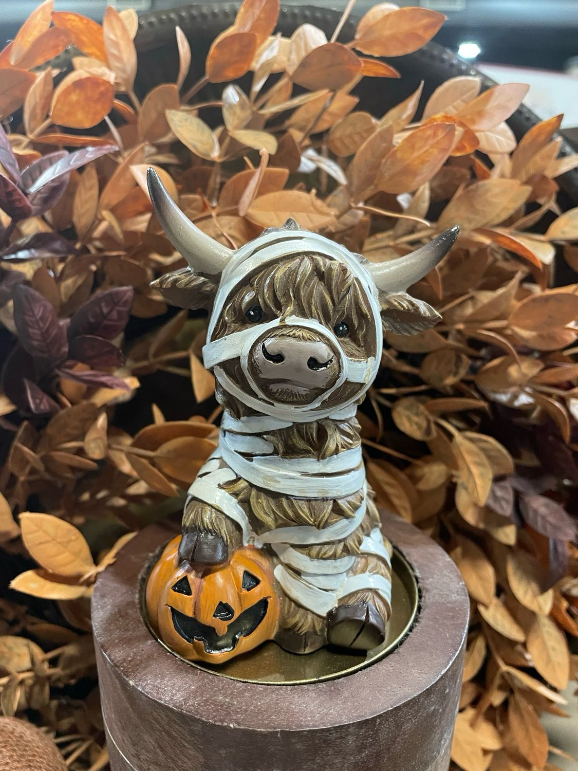 Han Mummy Highland Cow Trick Or Treater