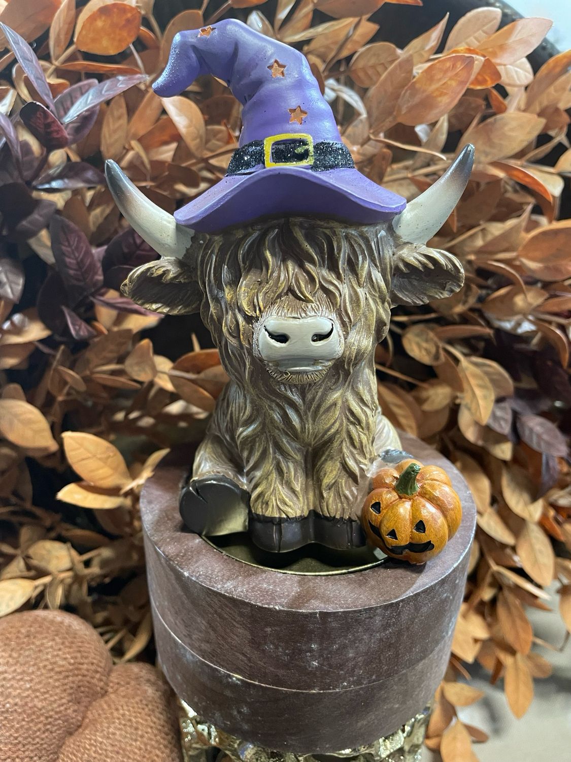 Han Purple Hat Wizard Highland Cow