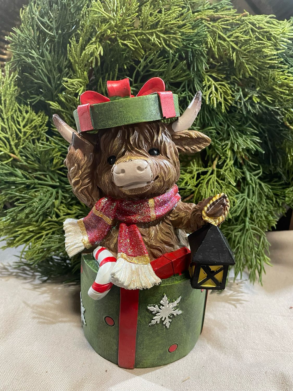 Han Green Gift Box Highland Cow