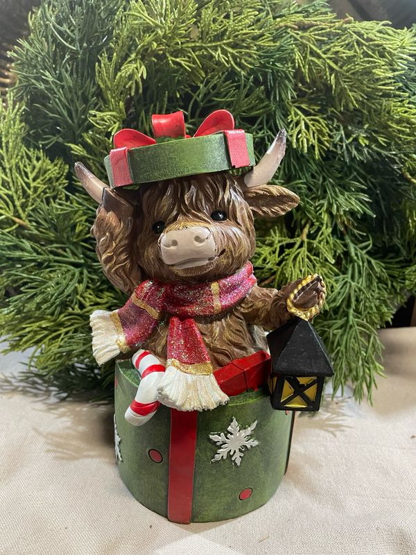 Han Green Gift Box Highland Cow