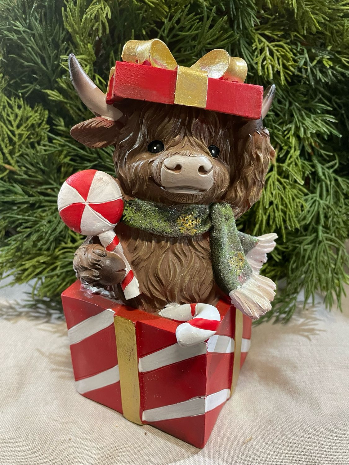 Han Red Gift Box Highland Cow