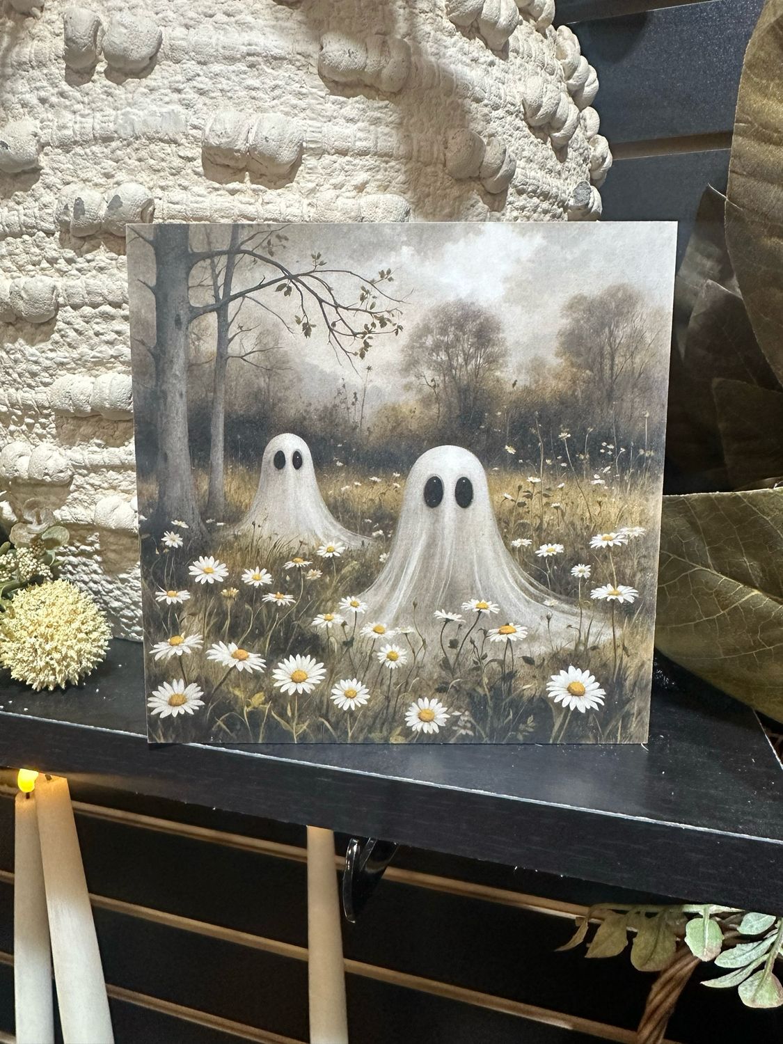 BBE 5x5 2 Ghost Daisies