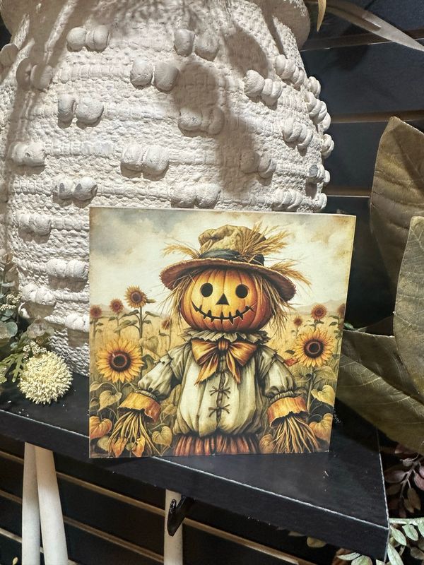 BBE 5x5 Boy Scarecrow
