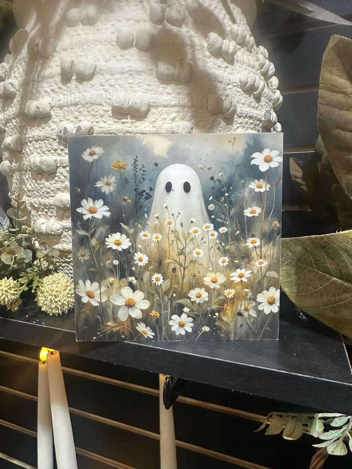 BBE 5x5 Big Ghost Daisies
