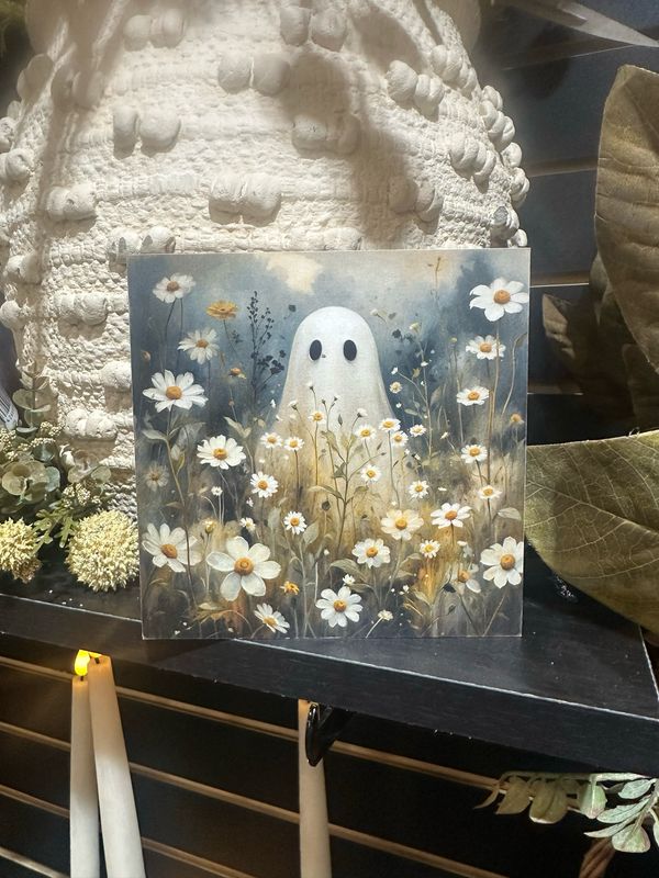BBE 5x5 Big Ghost Daisies