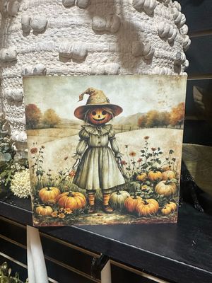 BBE 5x5 Girl Scarecrow