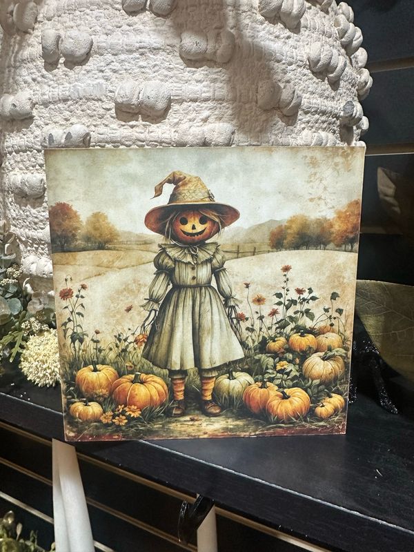 BBE 5x5 Girl Scarecrow