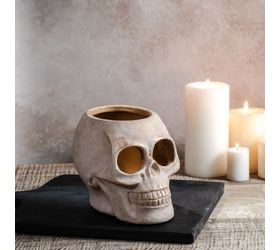 PDG 8x6 Gold Wash Skull