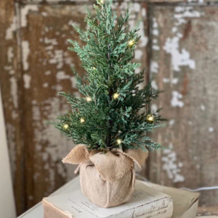 Lan 18&quot; Starlit Tree LED