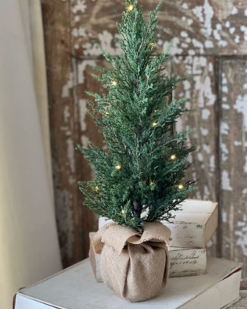 Lan 24&quot; Starlit Tree LED